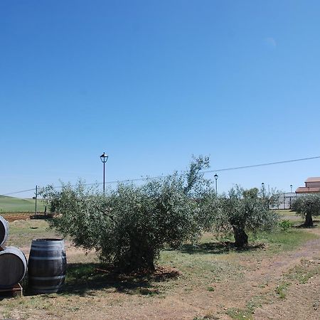 Casa Rural Teso De La Encina Villamor de los Escuderos Dış mekan fotoğraf