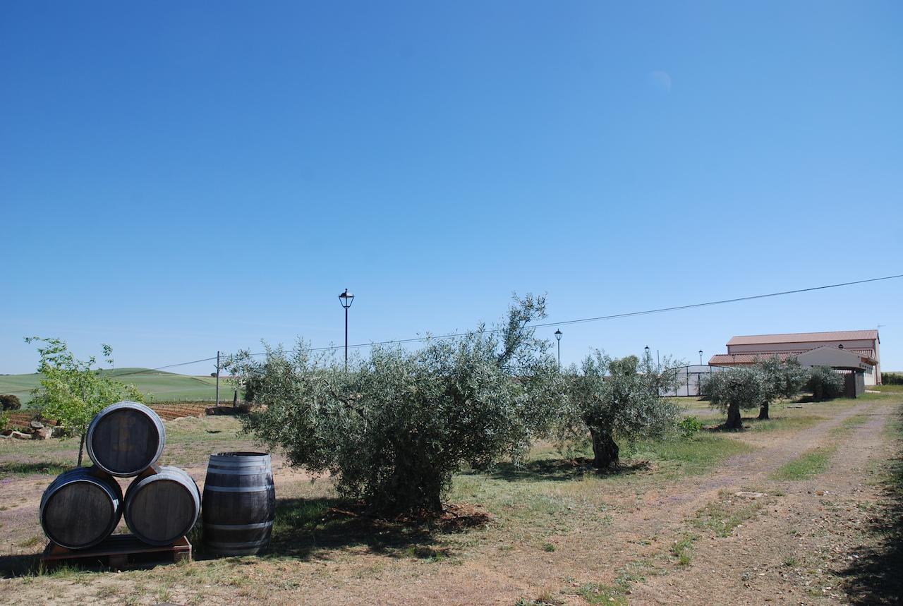 Casa Rural Teso De La Encina Villamor de los Escuderos Dış mekan fotoğraf