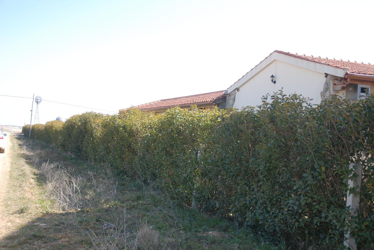 Casa Rural Teso De La Encina Villamor de los Escuderos Dış mekan fotoğraf