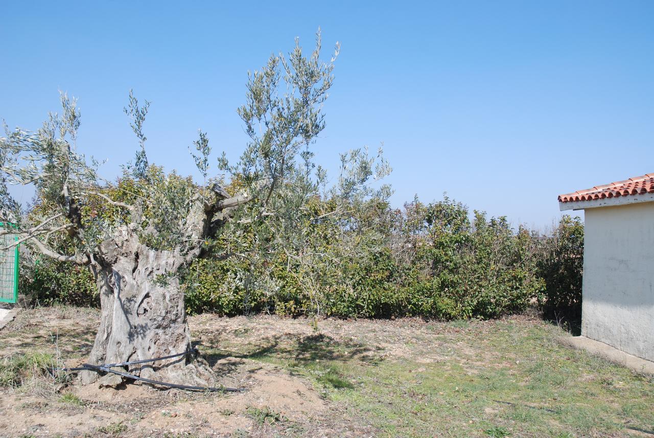 Casa Rural Teso De La Encina Villamor de los Escuderos Dış mekan fotoğraf