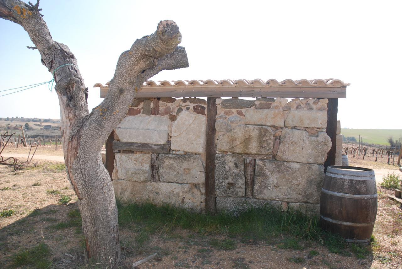 Casa Rural Teso De La Encina Villamor de los Escuderos Dış mekan fotoğraf